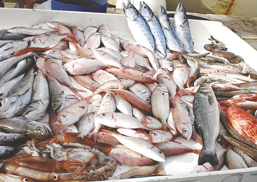 كيف تستطيع مصر إنتاج 10 ملايين طن سنويًا من الثروة السمكية؟